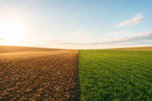 luz cambio climático