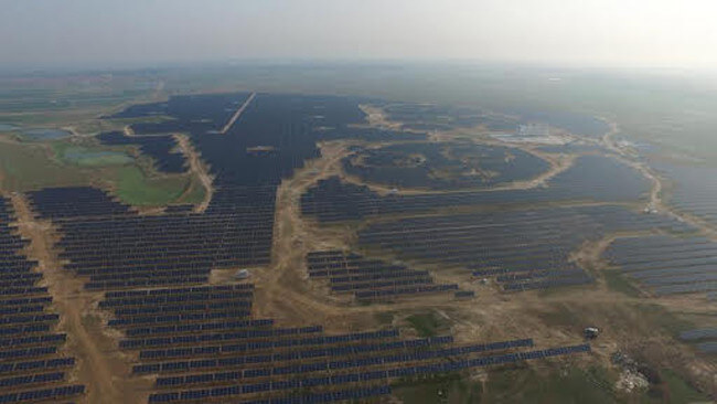 planta solar oso panda